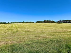 Photo 42- click for photo gallery